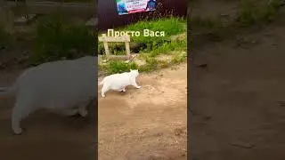 24 июня 2024 г.