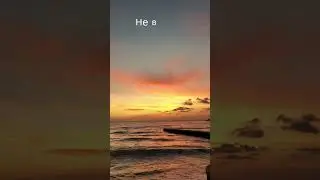 Как быстро добавить лайки и увеличить число подписчиков? Смотри видео!