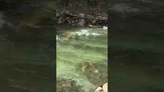 Fly Fishing in Girl Ukraine 