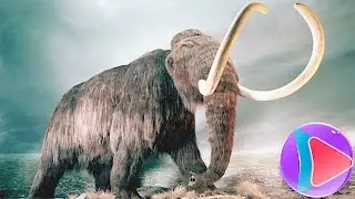 10 MOST BIGGEST ANIMALS OF ALL TIME | TOP10slive