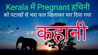 Kerala में Pregnant हथिनी को पटाखों से भरा फल खिलाकर मार दिया गया की पूरी कहानी, Elephant kill 2020.