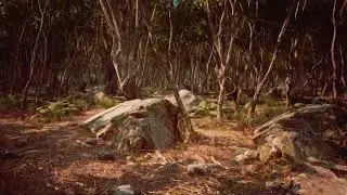 Relaxing Piano Music