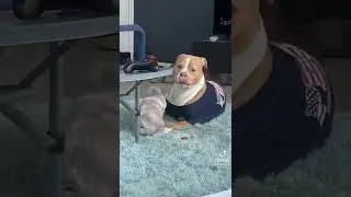 хаха
