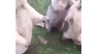Непонятки 😂😂