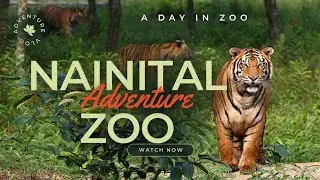 Nainital Zoo   पहाड़ों पर बसा चिढ़याघर Everything Here to Checkout #vlog #wildlife  #uttarakhand #yt