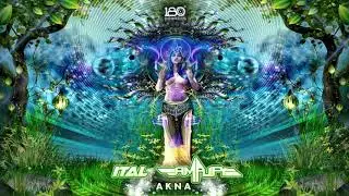 Ital & Amplify - Akna