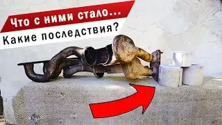 Удаление катализатора и установка пламегасителя на BMW E90