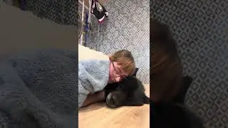 Дорвалась как говорится😂мой Волкособ Гул’дан ❤️