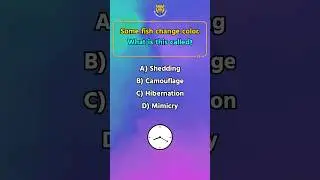 What is it Called When Fish Change Color | Animal Trivia