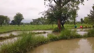 Kangra My first cinematic video 