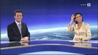 TV-Panne: ZIB Themen