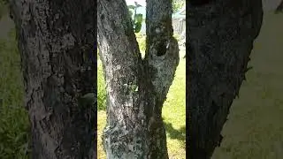 это как