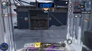 Just Felt Like Playing COD Mobile