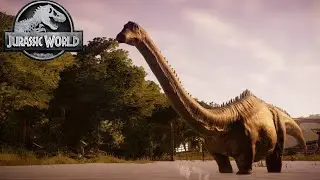 A CURA PRE HISTÓRICA JWE #4