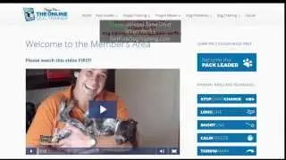 🐕 Doggy Dan’s online dog trainer review –  does the course work?