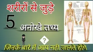 शरीर से जुड़े 5 एेसे तथ्य जिनके बारे में आप नही जानते होंगे। by suraj