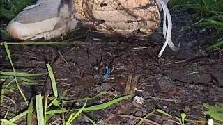 Tiny people crush in the mud with my nike 270 sneaker