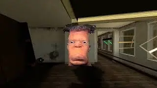 Half life 2 but in Ohio