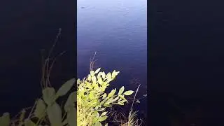 на рыбалке 🤦‍♂️