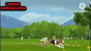 Anjing berlari /Mainan anak anak / Saling kejar kejaran Anjing Vs Anjing