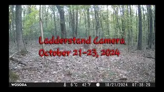 Ladder Stand Camera Oct 21 23, 2024