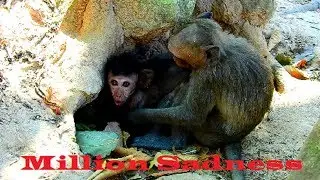 OMg Breaking-Heart !! Jayden so hungry till crying loudly,Jade stop give milk baby