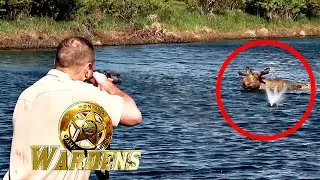 Wardens: Never Ending Day & Angry Like a Moose | FD Real Show
