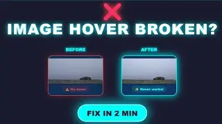Image Hover Effect Not Working? Here's the Fix (2 min)
