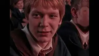Would you delete all your Harry Potter memories? 🥺 II Jenna Weasley