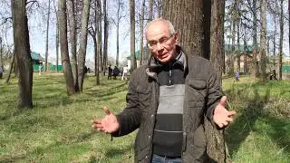 Андрей Романов о Старом саде