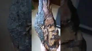 ОХ УЖ ЭТИ КАМУШКИ... ТЯНУТ МЕНЯ К СЕБЕ, КТО ВЫ? 11.08.2024
