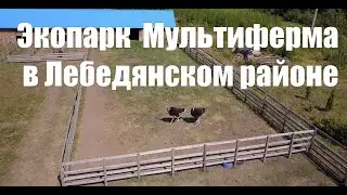 Экопарк в Лебедянском районе Мультиферма