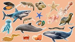 Sea Animal Names for Kids | Easy English Ocean Animals FOR KIDS | Learn English