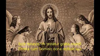 Salve Festa Dies - Catholic Easter Gregorian Chant (with lyrics)