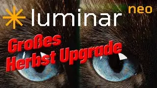 Großes Herbst Upgrade bei Luminar Neo  |  Im Vorverkauf bis 25. August !