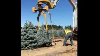Tree Tyer