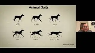 MSR-IISc AI Seminar Series: Learning to Walk - Jitendra Malik