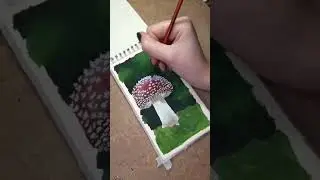 Amanita🍄 