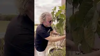 What Truly Makes Me Happy - Storytime with Sammy Hagar #35