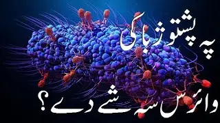 Virus in Pashto | Virus sa shy dy | Pakhto Jaba Ki | Ejaxism | Biology Class 10 | وائرس سہ شے دے |
