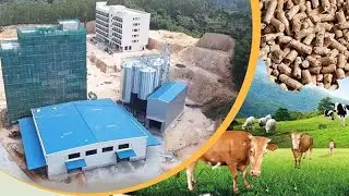 How is Feed Line Working-20T/H large-scale feed pellet production line