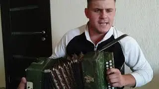 Поздравление пограничников. ЗЕЛЁНАЯ ФУРАЖКА ПОД ГАРМОНЬ ОТ ДМИТРИЯ ПЕСТОВА