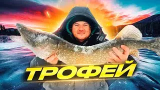 Это везение,рекорд побит,Зимняя рыбалка. Сamping ,fishing,bushcraft,