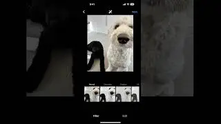 Instagram mobile: How to add alt text