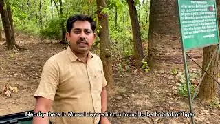 Ties in the wild | Story of 7 Tigers | Sanjay-Dubri Tiger Reserve