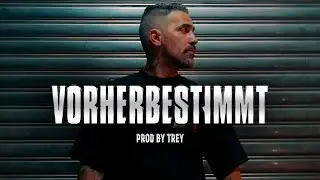 [FREE] BUSHIDO Type Beat „VORHERBESTIMMT" (prod. by TREY x Cronsenbeatz) | 2024