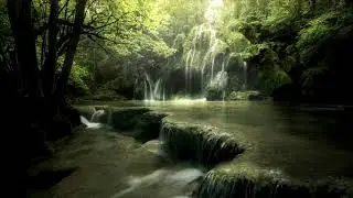 Meditation, Music and Birds for Relaxation, Stress Relief, Meditation, Sleep, Study