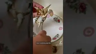 How to clean blue crabs