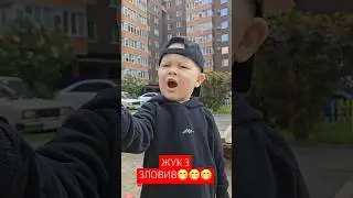#cute #топ #best #funny берем жука додому))