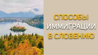 Possible ways to immigrate to the EU (Slovenia)